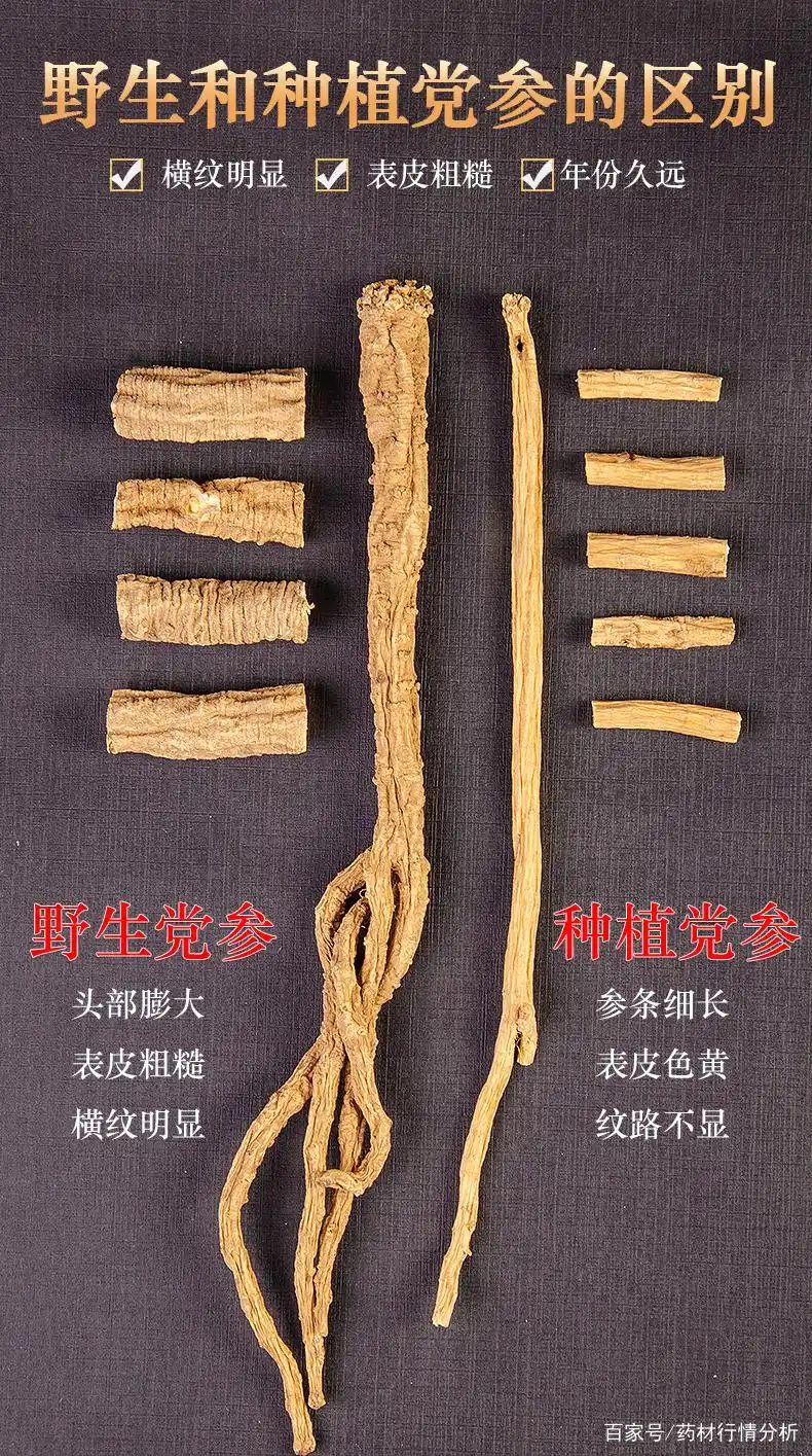 有真正的野生党参吗?教你辨别野生党参(党参的正常颜色的图片)