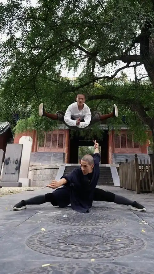 少林功夫#纵使身有千百诀,不得出处便为空.