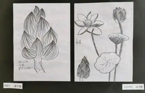 嵩县双语江苏实验学校初中部七年级元旦美术作品展