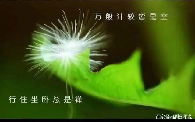 禅:不仅仅是修行,也是对生活认知的心境,更是思想和智慧的修炼