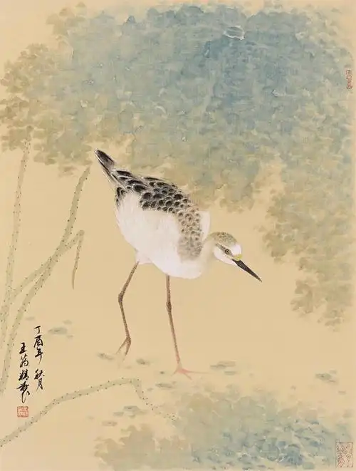 记全国八零后画家王菂