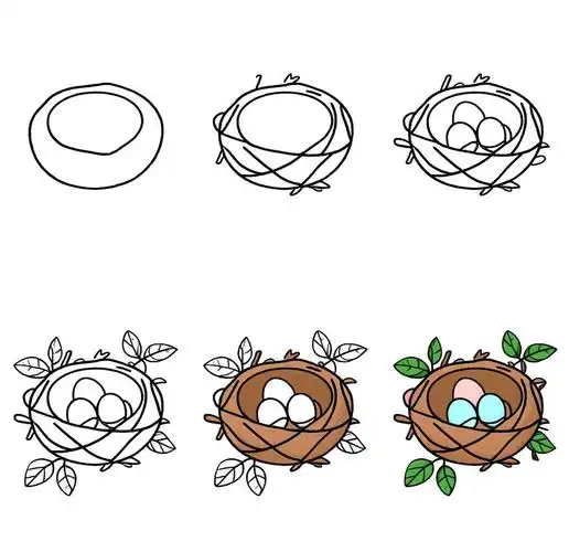 🐦鸟巢简笔画🎨