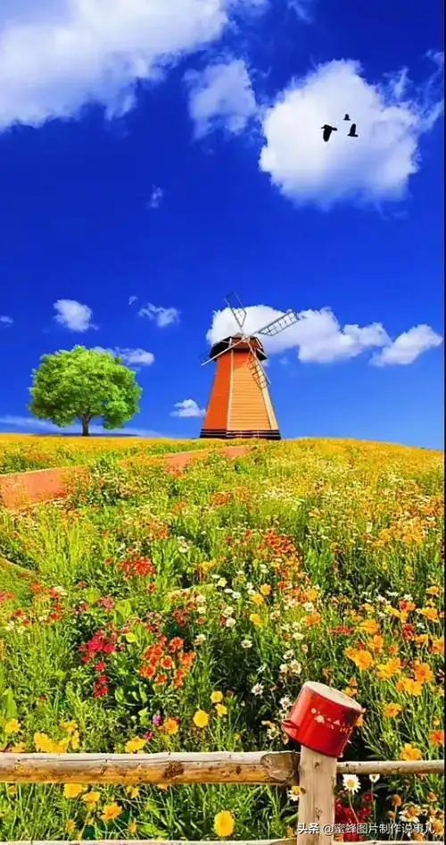 壁纸美图,大自然美景,如诗如画