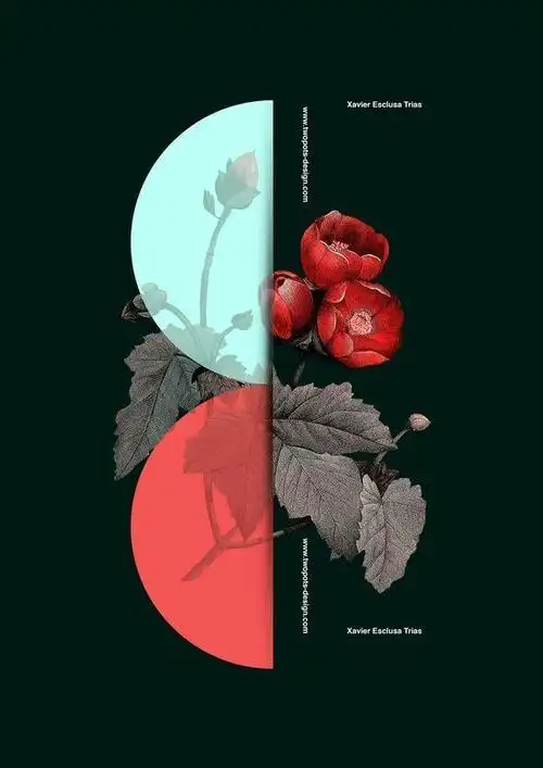 2019114左右对比版式海报设计67676767