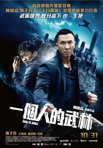 甄子丹 donnie yen - yahoo奇摩电影