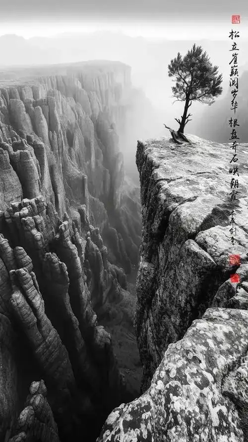 简约黑白色高清手机壁纸,正是众多选择中的一股清流,以其简洁,大方的