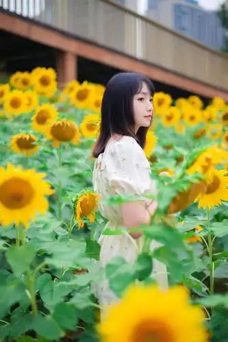 向日葵花季,怎么拍出好看向日葵人像照,几个拍照思路学起来