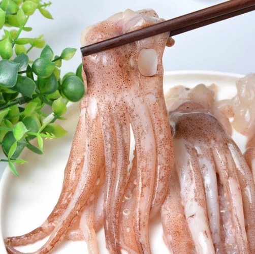 冷冻鱿鱼鲜活极速章鱼须鱿鱼头海鲜水产2斤冷冻鱿鱼