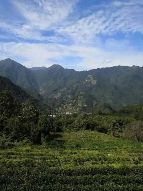 文县碧口马家山是您休闲度假的好去处