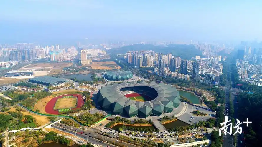 孙杨,霍斯祖都来了!1月14日来龙岗大运中心看泳坛巅峰对决_南方plus_