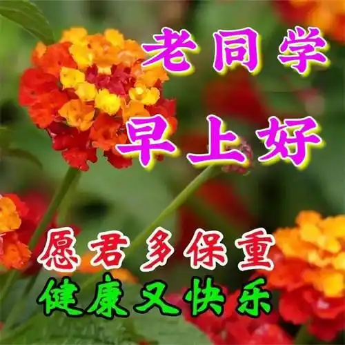 老同学早上好创意祝福图片带字带问候语录_开心_朋友_都能