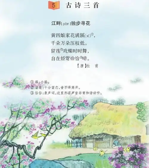 江畔独步寻花其六杜甫唐诗注释翻译赏析