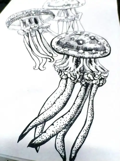 水母手绘练习