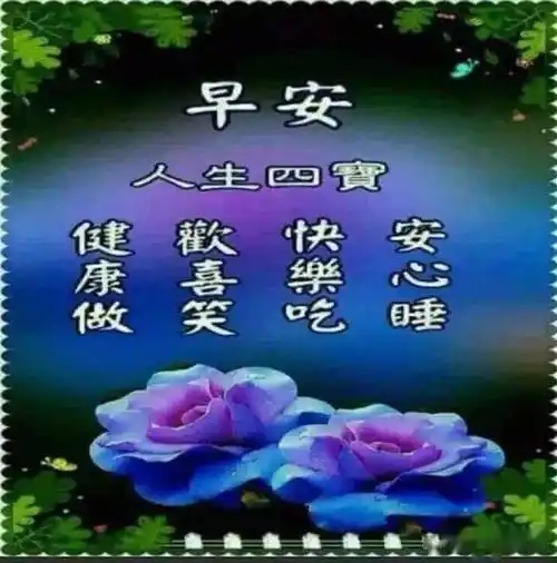 早上好表情包带字带祝福语早安图片问候祝福早安祝福语精选