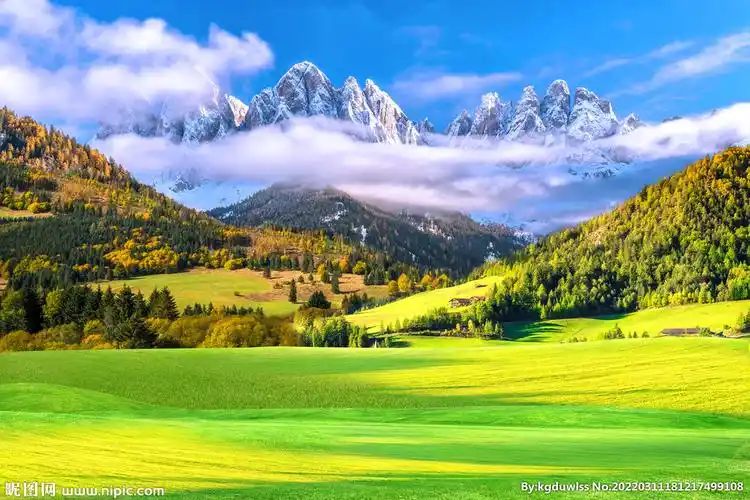 雪山下的草原图片