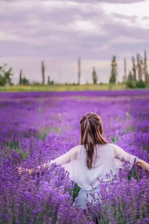 天堂很远新疆很近美女如云的新疆终于迎来了它的最美季节