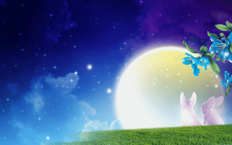 win7可爱动态小动物