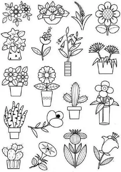 幼儿种植植物简笔画 简笔画图片大全-普车都