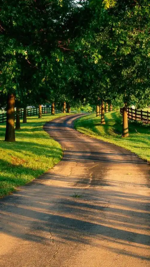 护眼风景唯美森系小清新图片4