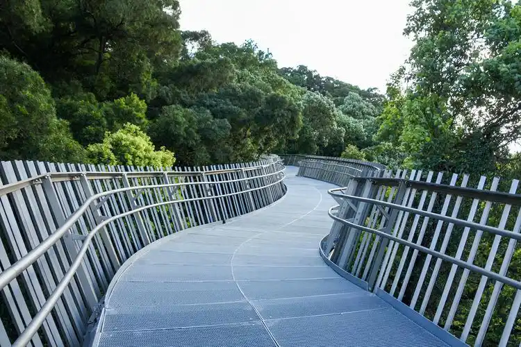 远离城市的喧嚣,漫步福道与金鸡山.