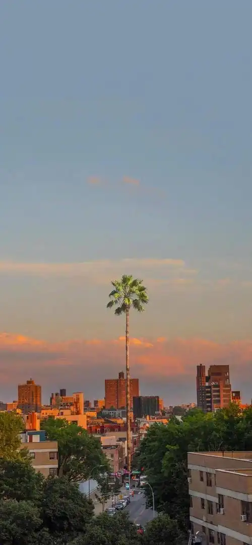 全面屏手机壁纸丨阳光果然是最好的浪漫60