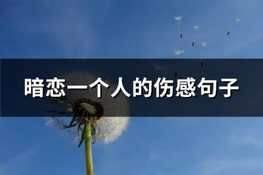 暗恋一个人的伤感句子(通用62句)