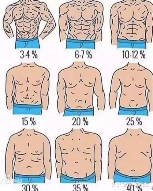 体重107体脂10什么还是没腹肌