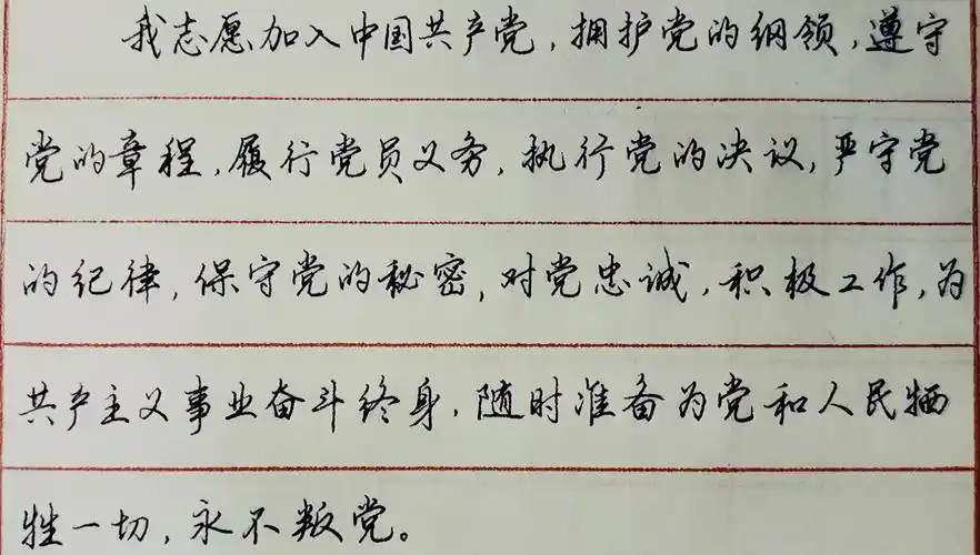 钢笔手写入党誓词作为党员须时时不忘初心牢记使命