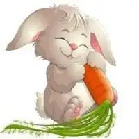 2018属兔的招财微信头像【点击鼠标右键下载】