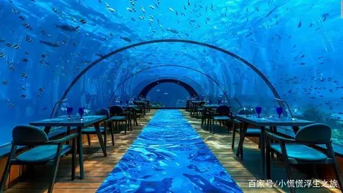 6万一晚!全球唯一十星级酒店,迪拜海底行宫