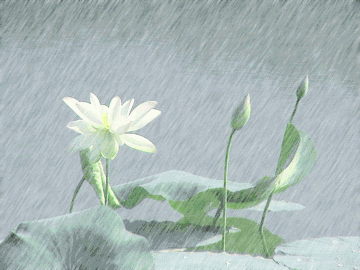 嗜书成癖的国学大师南怀瑾-搜狐