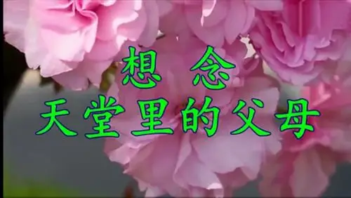 想念天堂里的父母