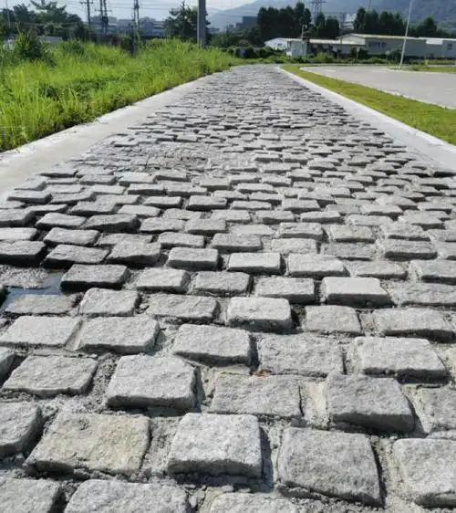 doctor. sem|不会吧!现在还有人不知道汽车试验场跑道?