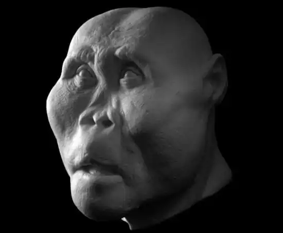 生活在200万年前的鲍氏傍人生活在200万年前的非洲南方古猿生活在100