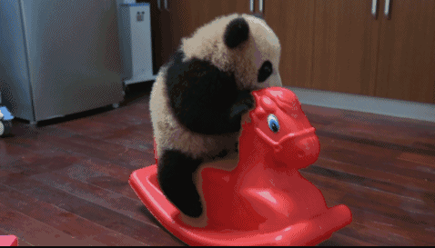 上海首只熊猫宝宝"花生"和母亲"帼帼"双双离世!来不及告别,泪了