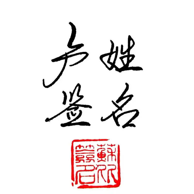 卢姓签名写法.#签名设计 #这年头谁还没个签名 #手写文字  - 抖音