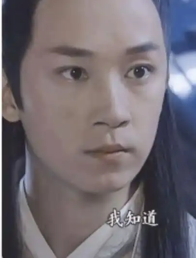 其实白蛇传我觉得拍的最好的是潘粤明和刘涛那版,那个版本的许仙对