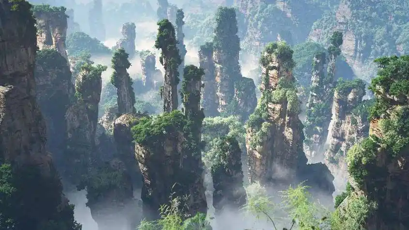 第2天:张家界森林公园-大氧吧广场,黄石寨,六奇阁,五指锋,摘星台杨家