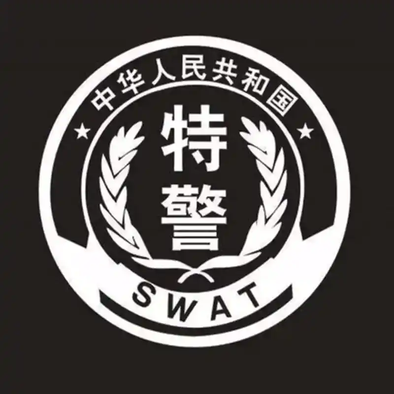 全国公安特警标志臂章图集|公安|反恐|臂章_手机网易网