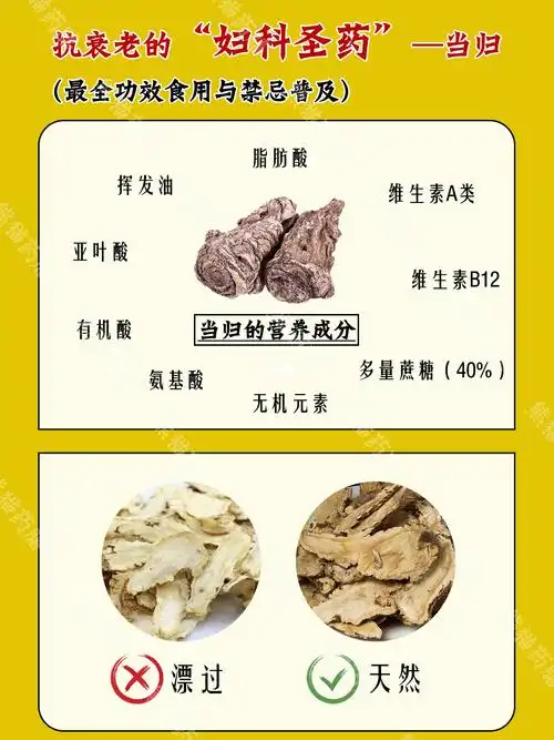 女生必备抗衰老的妇科圣药当归