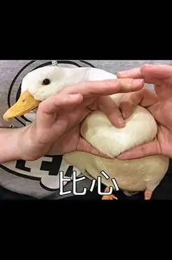 qq表情包-搞笑qq表情包图片-2020搞笑动态qq表情包合集