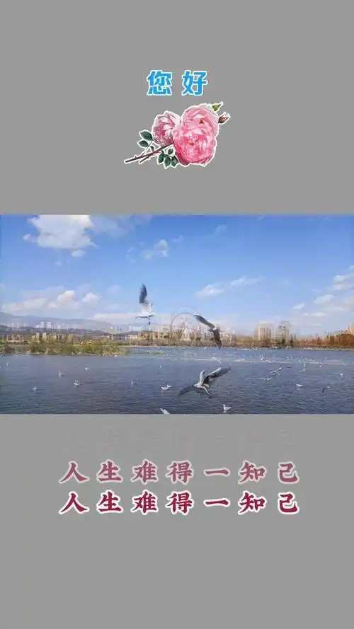 人生难得一知己