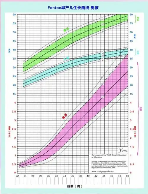 早产儿更易出现发育迟缓追赶性生长莫忽视生长发育监测