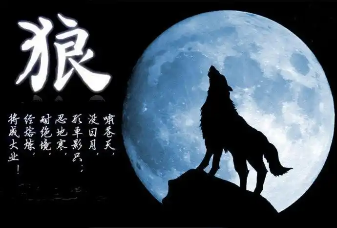 如何做一匹会投资的"狼"?