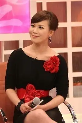 前段时间东方卫视几大主持人程雷,陈蓉,朱桢,倪琳,房海燕,戴刘菲,及另