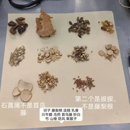 中药材识别1