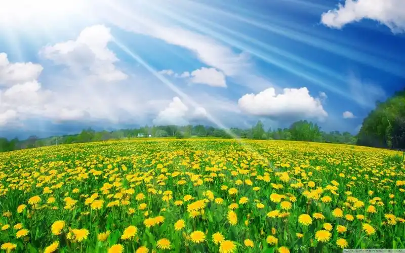 生机勃勃风景图片-生机勃勃风景图片大全-高清背景图-zol桌面壁纸