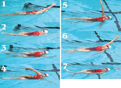 而为使身体上浮,可由一手臂向侧下划水至体侧(图为右手先动作).