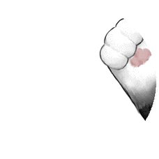 一组巨可爱的猫爪表情