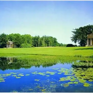 清新绿色风景头像最好看的绿色护眼的草地风景图片